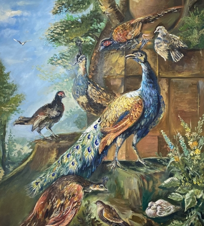 Birds