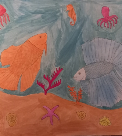 Betta balıqları sualtı dünyada