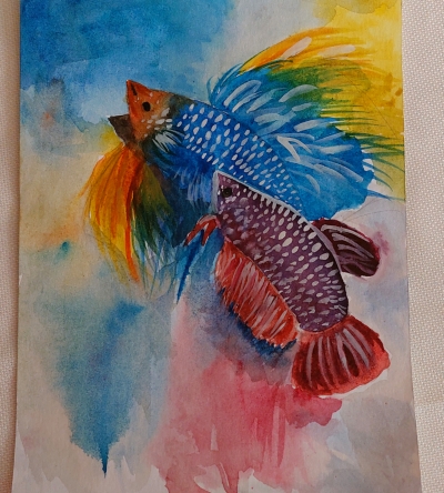Betta balığı