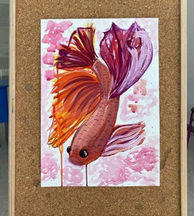 Betta baliqlari