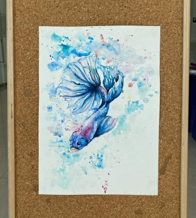 Betta balıqları