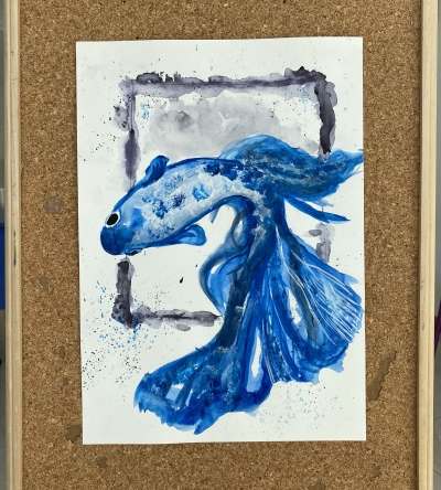 Free fish