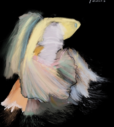 Rəngarəng Betta