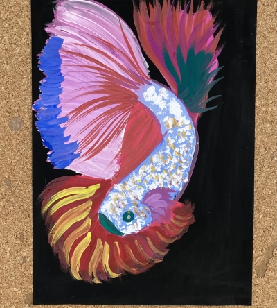 Betta
