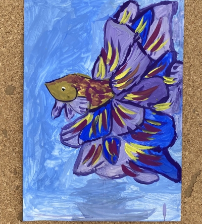 Betta balığı
