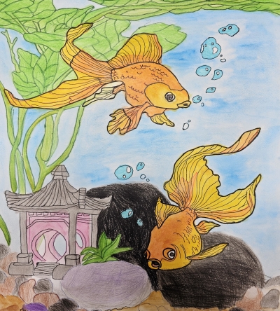My nice fishes