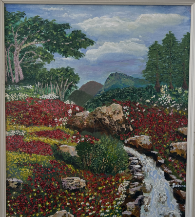 Laleli duzler(Tulip fields)